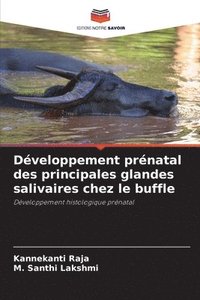 bokomslag Développement prénatal des principales glandes salivaires chez le buffle