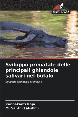 Kannekanti Raja, M Santhi Lakshmi, M. Santhi Lakshmi - Sviluppo prenatale delle principali ghiandole salivari nel bufalo, Häftad