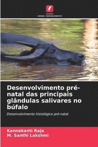 bokomslag Desenvolvimento pré-natal das principais glândulas salivares no búfalo