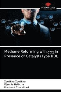 bokomslag Methane Reforming with CO2 in Presence of Catalysts Type HDL