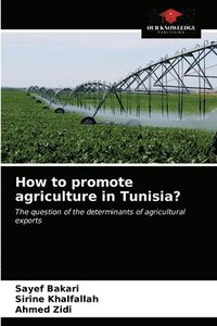bokomslag How to promote agriculture in Tunisia?