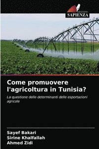 bokomslag Come promuovere l'agricoltura in Tunisia?