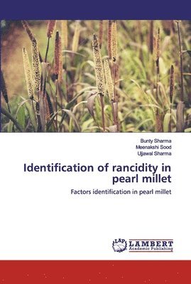 Identification of rancidity in pearl millet 1