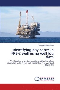 bokomslag Identifying pay zones in FRB-2 well using well log data