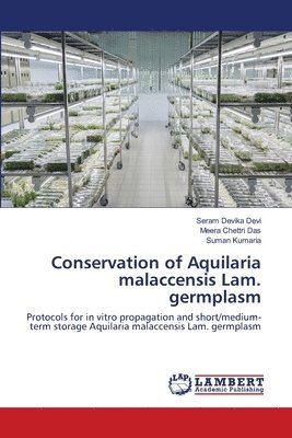Conservation of Aquilaria malaccensis Lam. germplasm 1