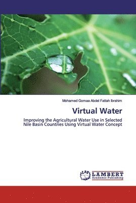 Virtual Water 1