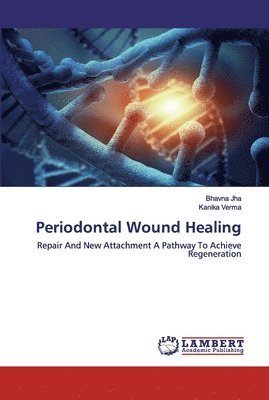 bokomslag Periodontal Wound Healing
