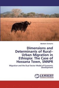 bokomslag Dimensions and Determinants of Rural-Urban Migration in Ethiopia