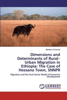 Abraham Ochocho - Dimensions and Determinants of Rural-Urban Migration in Ethiopia, Häftad