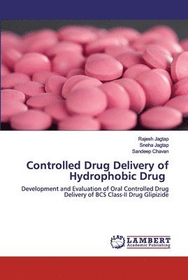Controlled Drug Delivery of Hydrophobic Drug 1