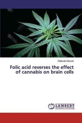 bokomslag Folic acid reverses the effect of cannabis on brain cells