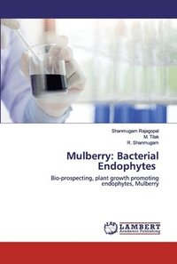 bokomslag Mulberry