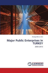 bokomslag Major Public Enterprises in TURKEY