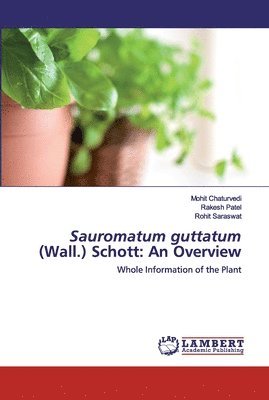 Sauromatum guttatum (Wall.) Schott 1