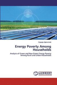 bokomslag Energy Poverty Among Households