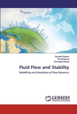 Saurabh Kapoor, Ruchi Bansal, Samarjeet Rawat - Fluid Flow and Stability, Häftad