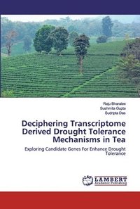 bokomslag Deciphering Transcriptome Derived Drought Tolerance Mechanisms in Tea