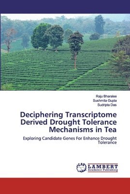 Deciphering Transcriptome Derived Drought Tolerance Mechanisms in Tea 1