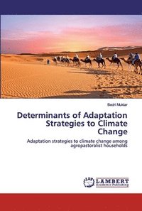 bokomslag Determinants of Adaptation Strategies to Climate Change