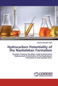 bokomslag Hydrocarbon Potentiality of the Naokelekan Formation