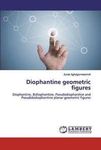 bokomslag Diophantine geometric figures