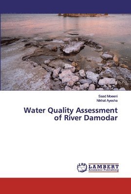 bokomslag Water Quality Assessment of River Damodar