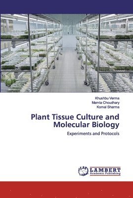bokomslag Plant Tissue Culture and Molecular Biology