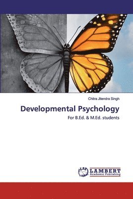 bokomslag Developmental Psychology