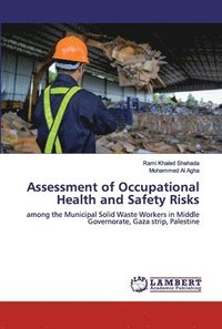 bokomslag Assessment of Occupational Health and Safety Risks