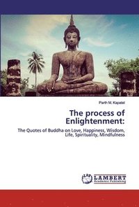 bokomslag The process of Enlightenment