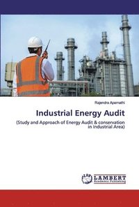 bokomslag Industrial Energy Audit