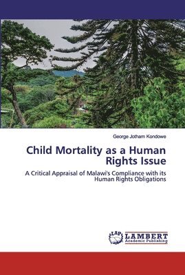 Child Mortality as a Human Rights Issue 1