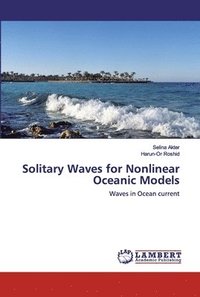 bokomslag Solitary Waves for Nonlinear Oceanic Models