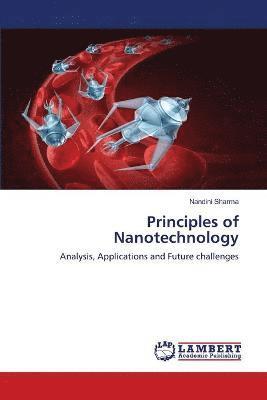 bokomslag Principles of Nanotechnology