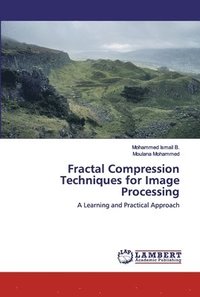 bokomslag Fractal Compression Techniques for Image Processing