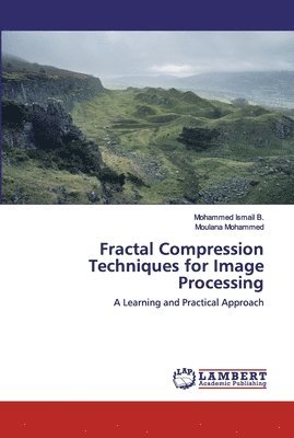 Fractal Compression Techniques for Image Processing 1