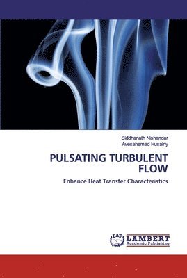 Pulsating Turbulent Flow 1