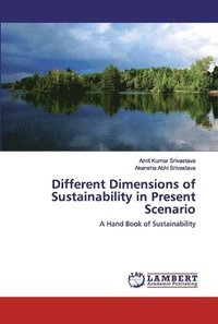 bokomslag Different Dimensions of Sustainability in Present Scenario