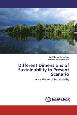 Different Dimensions of Sustainability in Present Scenario 1