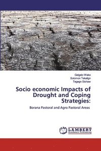 bokomslag Socio economic Impacts of Drought and Coping Strategies