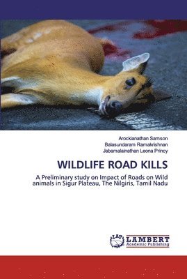 Wildlife Road Kills 1