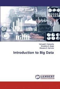 bokomslag Introduction to Big Data