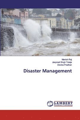 bokomslag Disaster Management