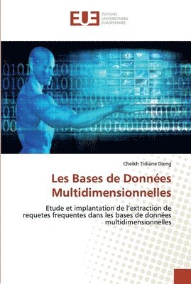 bokomslag Les Bases de Donnes Multidimensionnelles