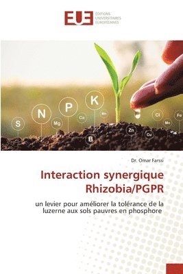 Interaction synergique Rhizobia/PGPR 1