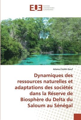 bokomslag Dynamiques des ressources naturelles et adaptations des socits dans la Rserve de Biosphre du Delta du Saloum au Sngal
