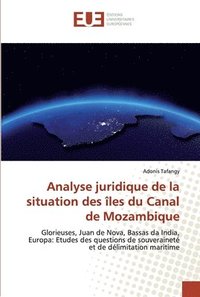 bokomslag Analyse juridique de la situation des les du Canal de Mozambique