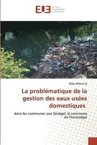 bokomslag La problmatique de la gestion des eaux uses domestiques