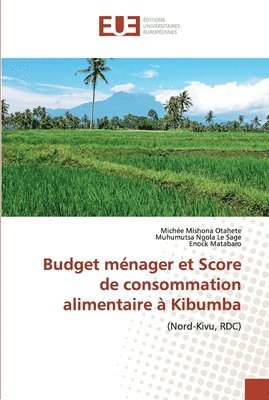 bokomslag Budget mnager et Score de consommation alimentaire  Kibumba