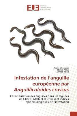 Infestation de l'anguille europenne par Anguillicoloides crassus 1